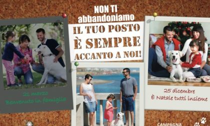 Comuni contro l'abbandono degli animali