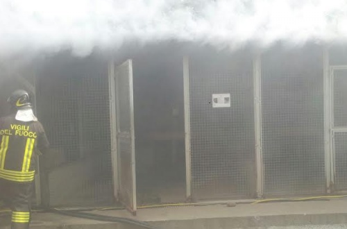 Incendio devasta il magazzino del Canile