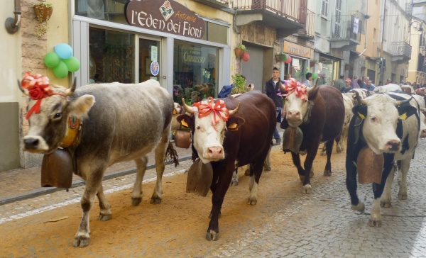La festa per la “Transumanza” non si svolgerà nel 2016