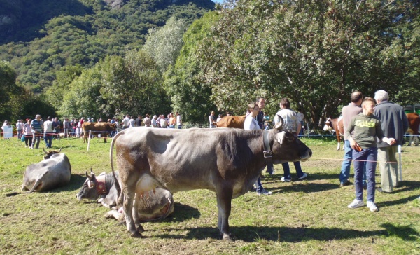 Torna a Pont la “Fiera di San Matteo”