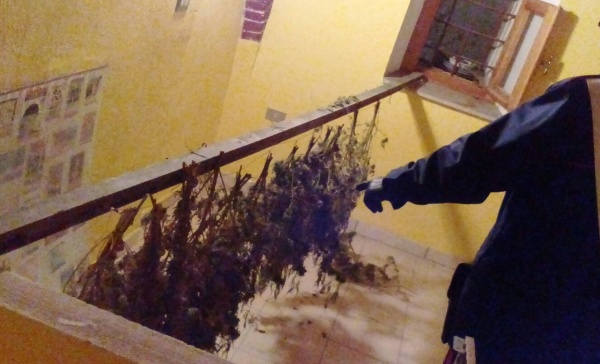 Ancora una denuncia per droga in Canavese