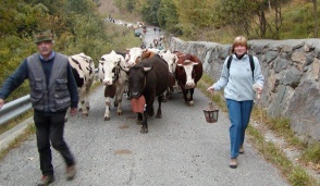 Mercato contadino; alla scoperta dei prodotti della montagna