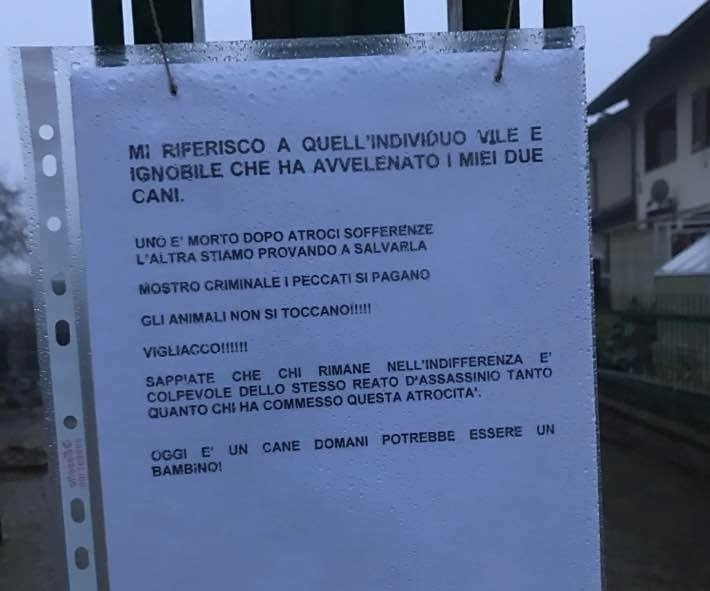 Cani avvelenati. Il proprietario: “Chi ha compiuto questo gesto è un vigliacco!”