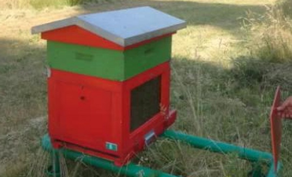 A Rivara rubata una dozzina di alveari: è allarme