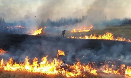 Continuano gli incendi nel Parco delle Vaude