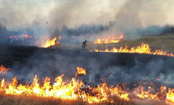 Continuano gli incendi nel Parco delle Vaude