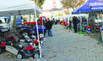 Dallo Street Food ai cani in passerella: ecco la super Fiera dell'Annunziata