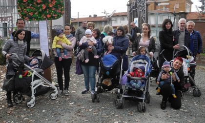 Festa degli Alberi per i bimbi nati nel 2016