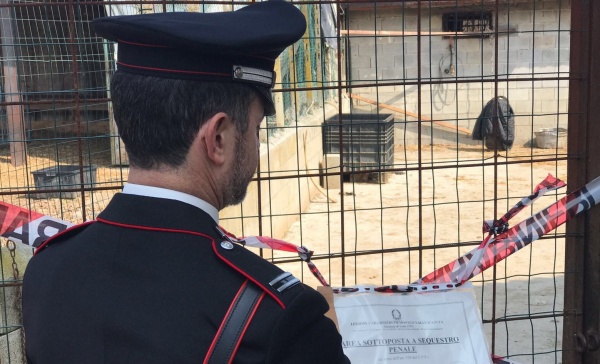 Mattatoio clandestino scoperto a Front