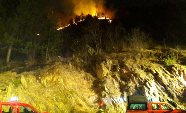 Piromani scatenati: ancora incendi boschivi