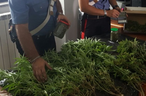 Spacciava  droga: arrestato
