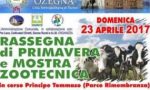 Oggi dove anbiamo in Canavese? Tanti gli eventi a disposizione