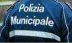 Vandali scatenati, distrutti i cassonetti dell'immondizia