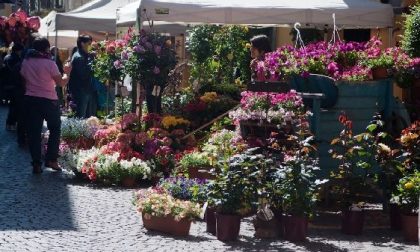 «Ciriè in Fiore»: ecco gli appuntamenti di domenica 21 maggio