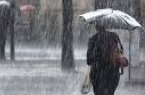 Domenica all’insegna della variabilità