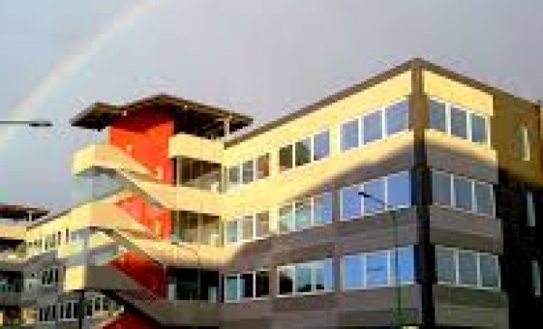 Festa di compleanno finisce a botte a colpi di pala e rastrello