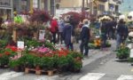 Grande successo di Florarte a Cuorgnè