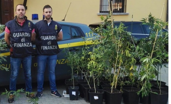 Obbligo di firma per il coltivatore di cannabis
