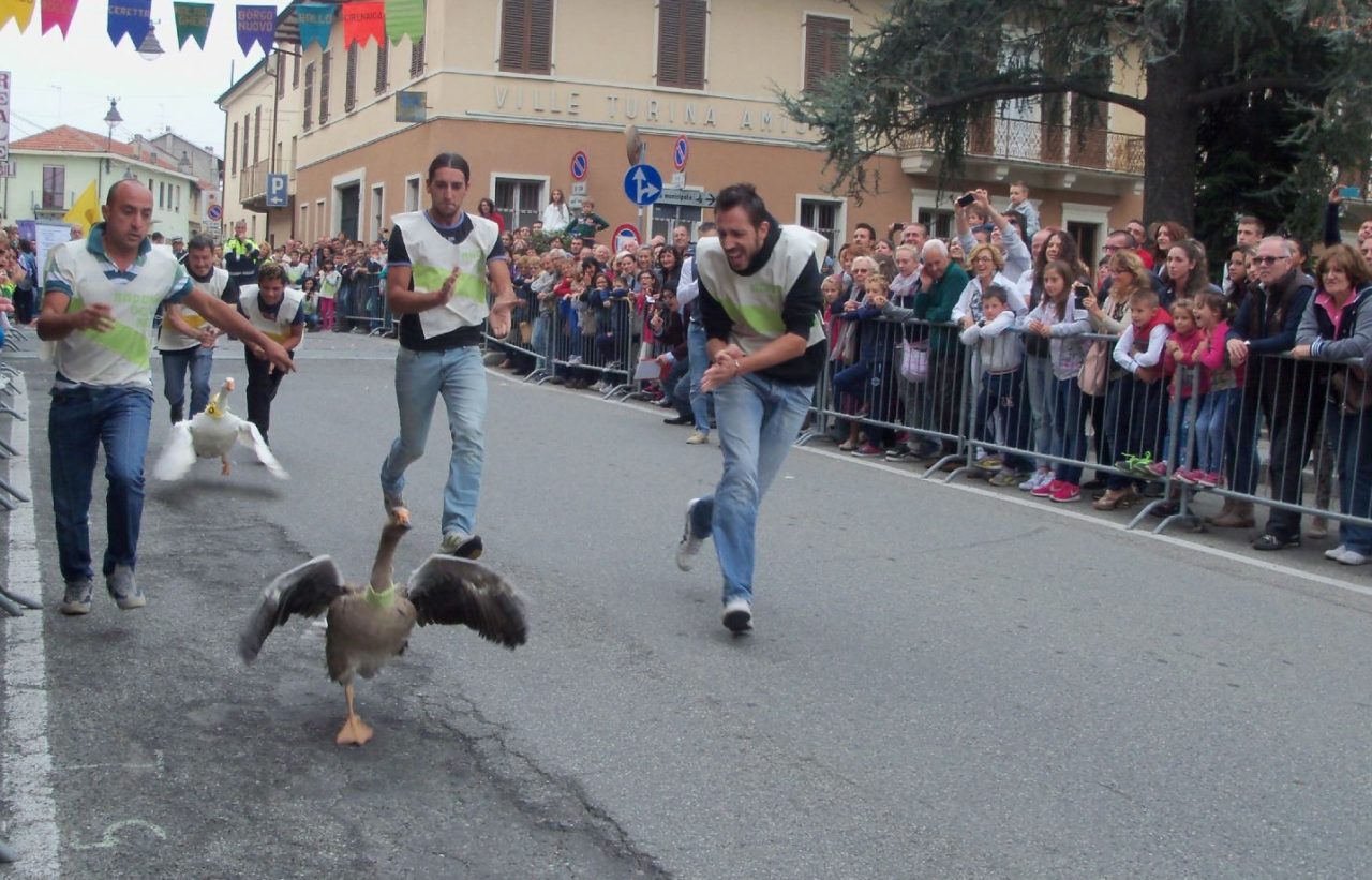 Il Palio in via Matteotti: ai nastri di partenza ci sono… i borghigiani