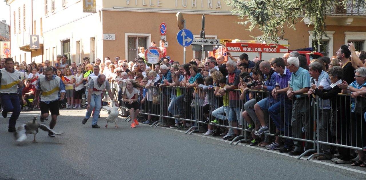 Il Palio si fa: al posto delle oche… corrono le persone