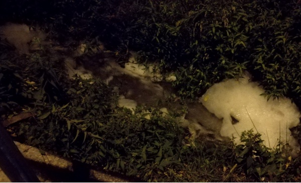 Schiuma nella roggia a Favria: oggi i risultati