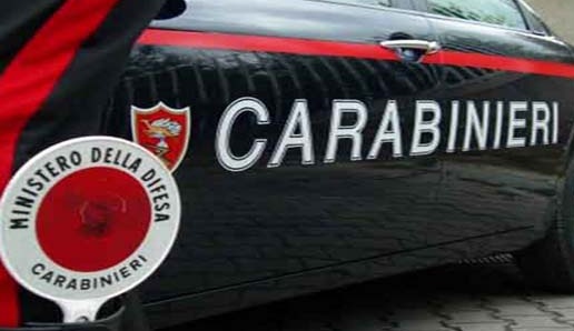 Abbattono un capriolo, padre e figlio denunciati