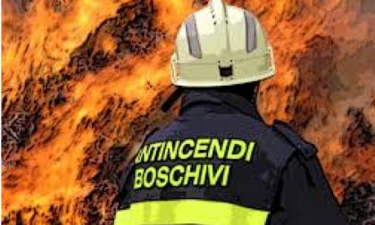 I boschi bruciano: l'allarme Coldiretti