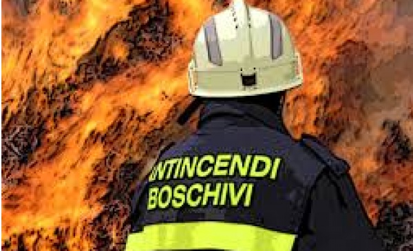 I boschi bruciano: l’allarme Coldiretti