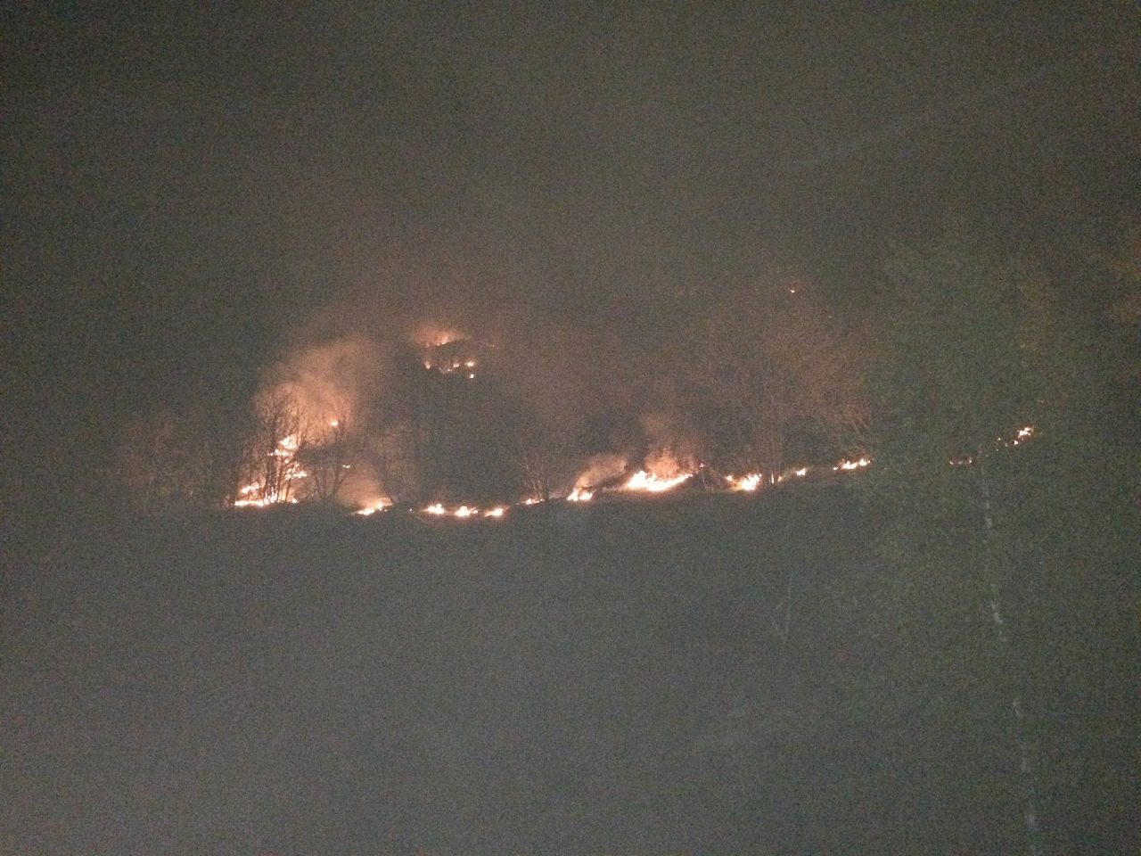 Bosco in fiamme pensionato nei guai