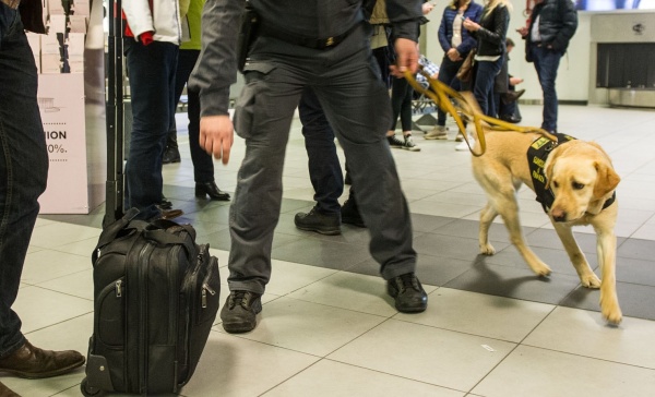 Oltre 200 mila euro sequestrati   grazie a “Zeby”