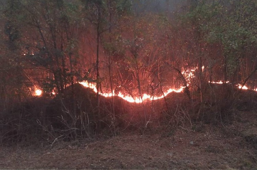 Incendi Sparone grazie del sindaco alle forze in campo