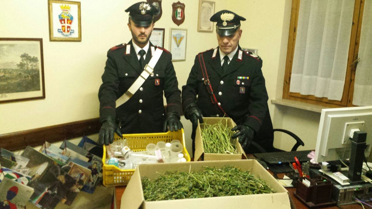 DROGA Arrestato cuorgnatese che nascondeva due chili di marijuana | VIDEO