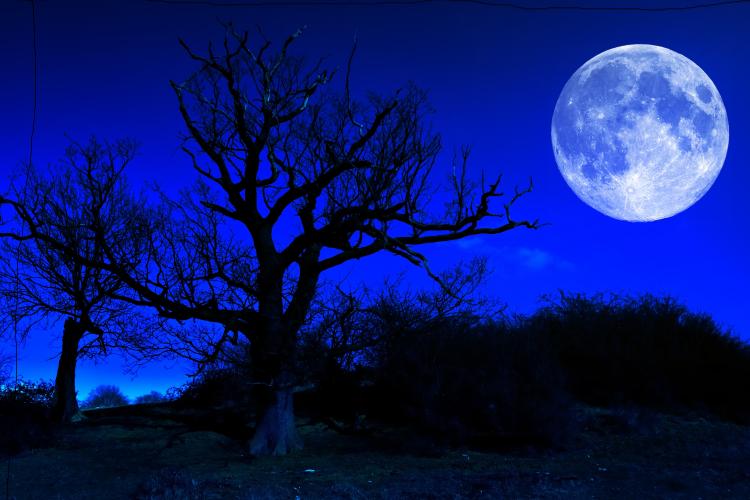 La Luna dà spettacolo in arrivo la Blue Moon