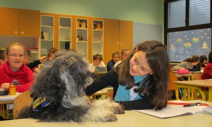 Cani a scuola bimbi a lezione di educazione cinofila