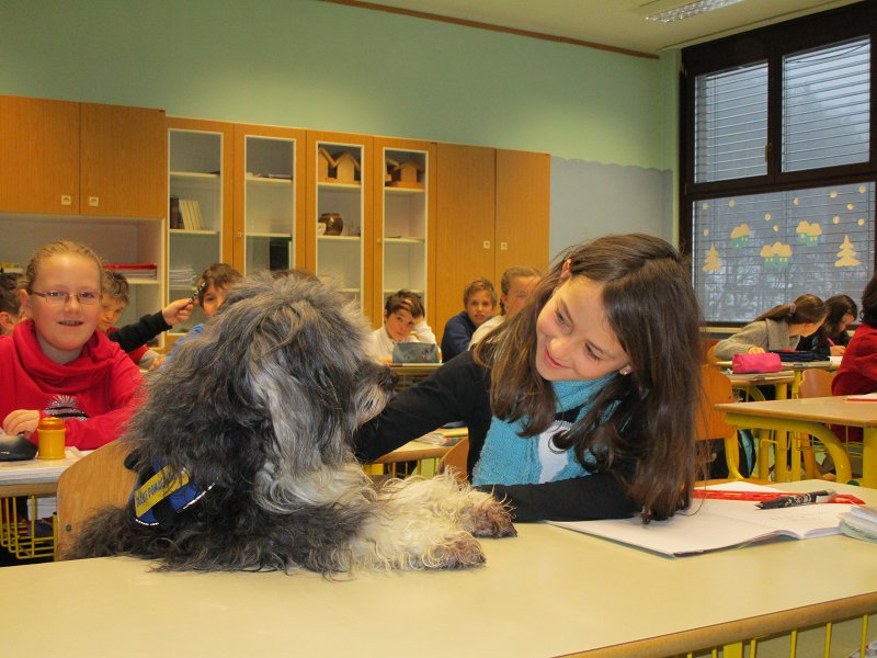 Cani a scuola bimbi a lezione di educazione cinofila