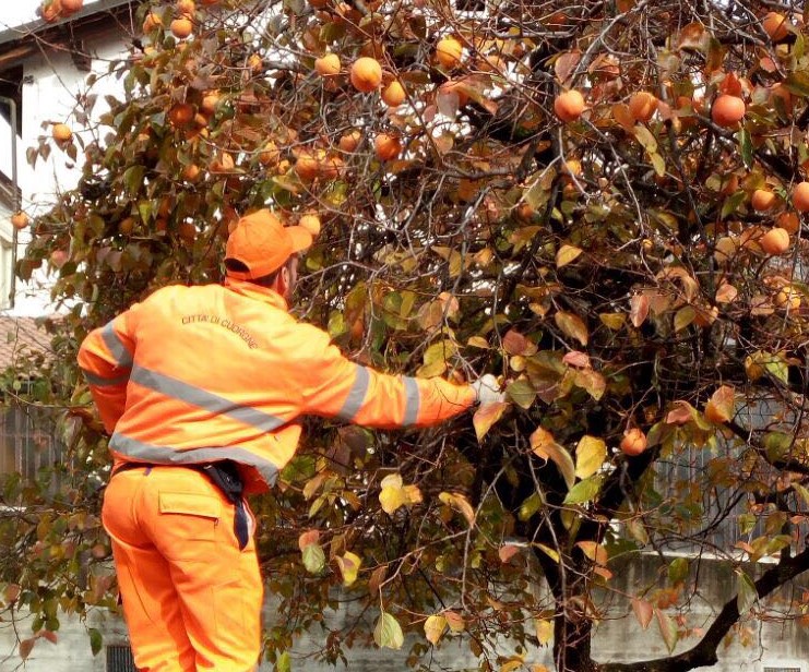 Frutti solidarietà Cuorgnè