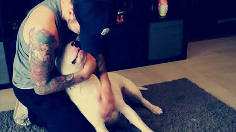 Liberato Sid il Bull Terrier accusato della morte di Lobue