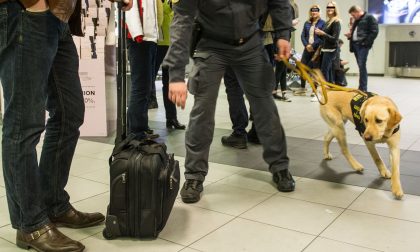 Aeroporto Caselle: sequestrate foglie  di coca