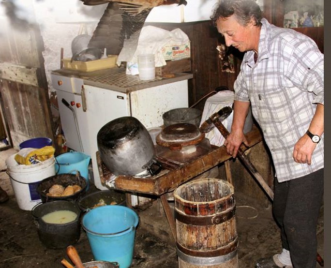La Montanara “Polly” è un documentario