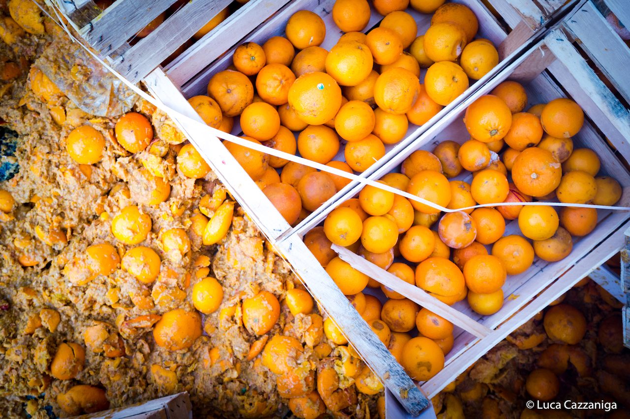 Rapporto Coldiretti sulle Agromafie