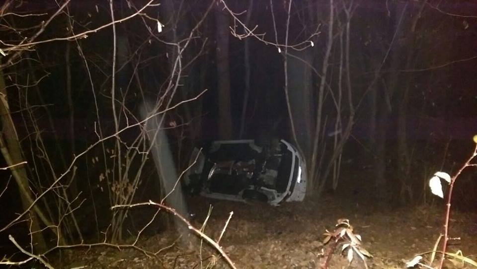 Esce di strada e finisce nel bosco