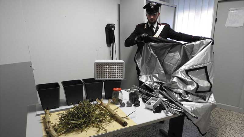 Minorenne coltivava marijuana in casa
