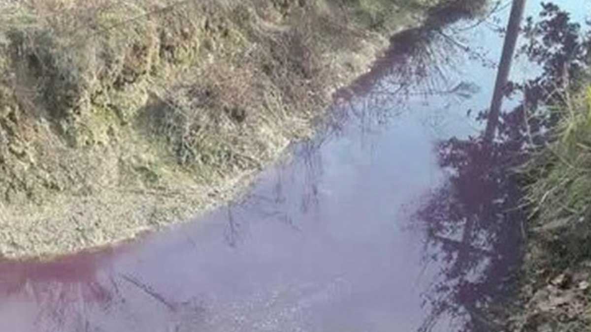 Scarseggia l’acqua nelle rogge a Rivarolo