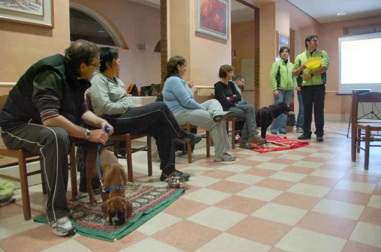 Allevare un cane quattro eventi a Leini