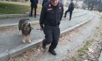 Droga nascosta al Valentino bliz dei carabinieri | Foto