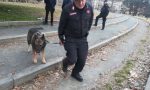 Controllo straordinario al Valentino da parte dei Carabinieri | Foto