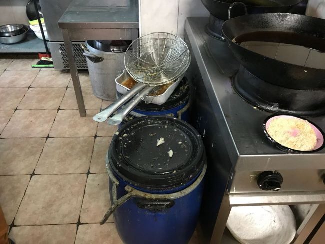 Chiuso ristorante: scarafaggi nelle cucine