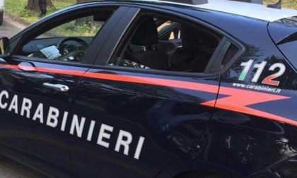 Chiama i carabinieri che in casa gli trovano una coltivazione di marijuana | Video