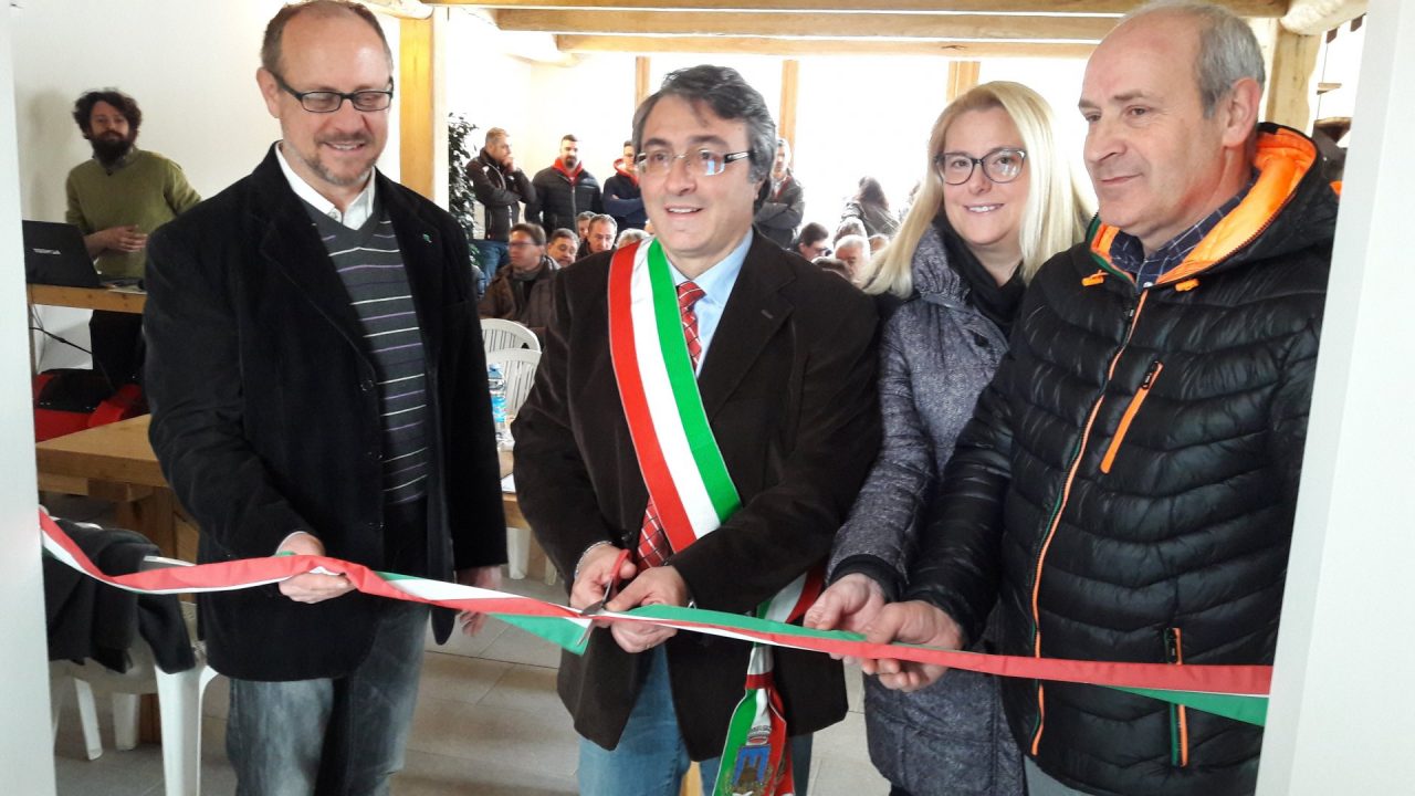 Centro per la promozione del legno