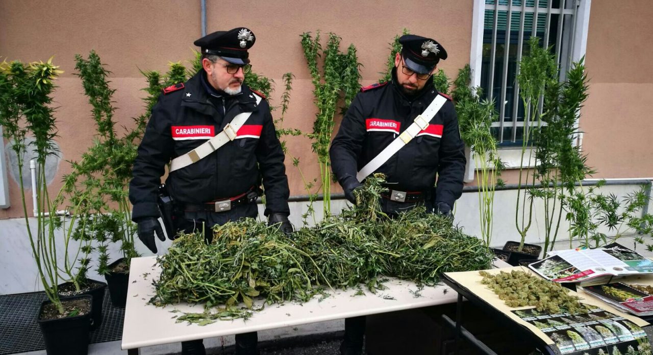 Coltivazione casalinga di marijuana, arrestato 40enne di Rueglio